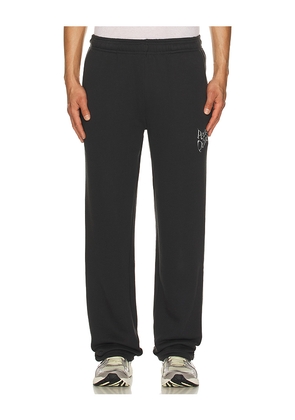 Museum of Peace and Quiet Warped Sweatpants in Black. Size XL/1X. Also in L.