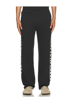 Museum of Peace and Quiet Naturalist Sweatpants in Black. Size M. Also in XS, S, L, XL/1X.