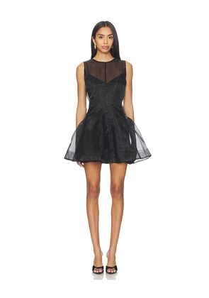 L'Academie by Marianna Blaire Mini Dress in Black. Size M. Also in XXS, XS, S, L, XL.