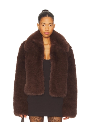 MAJORELLE Vienna Faux Fur Jacket in Chocolate. Size M. Also in S, XXS, XS, L, XL.