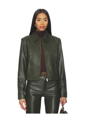 LAMARQUE Oceana Jacket in Olive. Size M. Also in L, S, XS.