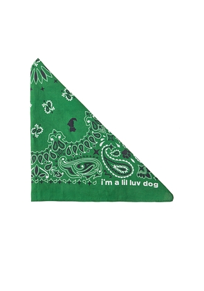 Lil Luv Dog Bandana in Green.