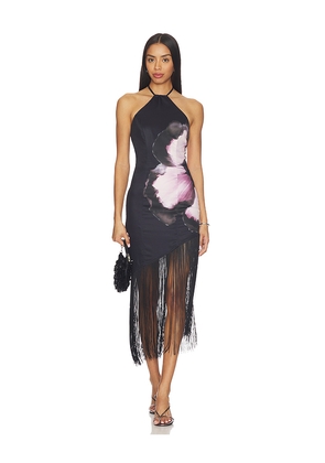 MORE TO COME Deirdre Halter Midi Dress in Black,Rose. Size M. Also in L, S, XL, XS, XXS.