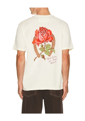 ONE OF THESE DAYS Remember Me Tee in White. Size M. Also in S, L, XL/1X.