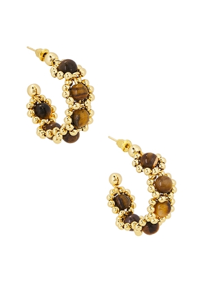 Lovers and Friends Sonnet Earrings in Metallic Gold.