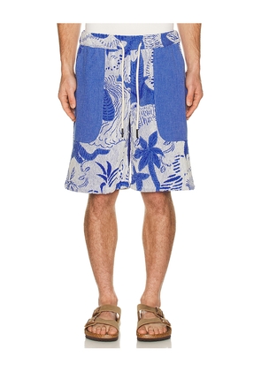 OAS Nicola Shorts in Blue. Size M. Also in S, L, XL/1X.