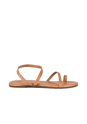 TKEES Mia Napa Sandal in Beige. Size 11. Also in 5, 6, 7, 8, 9, 10.