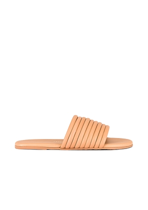 TKEES Caro Sandal in Tan. Size 5. Also in 7, 6.