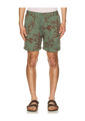 OAS Porto Shorts in Green. Size L. Also in S, M, XL/1X.