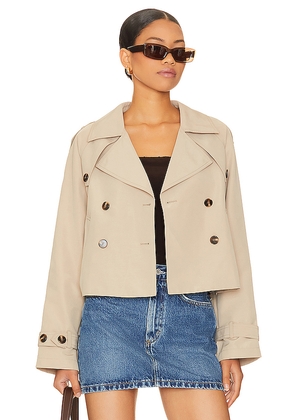 Steve Madden Sirus Jacket in Tan. Size XL. Also in L.