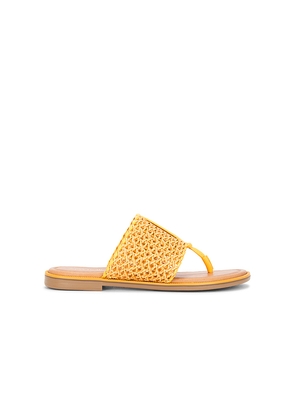 Seychelles Florence Sandal in Yellow. Size 6. Also in 10, 6.5, 7, 7.5, 8, 8.5, 9.