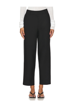 Steve Madden Junia Pant in Black. Size XL. Also in L.