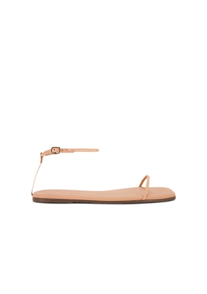 TKEES Square Toe Twiggy Sandal in Nude. Size 7. Also in 10, 9.