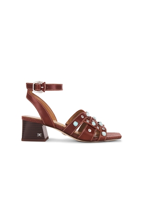 Sam Edelman Wayla 2 Sandal in Brown. Size 6.5. Also in 6, 7, 7.5.