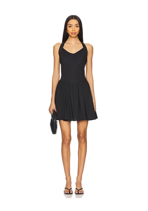 Steve Madden Yala Dress in Black. Size 12. Also in 0, 2, 4, 6, 8.