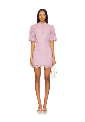 Steve Madden Diya Dress in Mauve. Size 12. Also in 10.