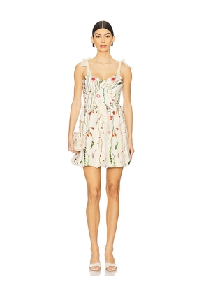 Steve Madden Kavala Dress in Cream. Size 10. Also in 0, 2, 4, 6, 8.