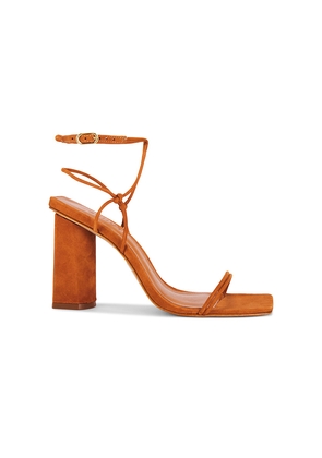 Schutz Pompeii Sandal in Brown. Size 8.5. Also in 10, 9, 9.5.