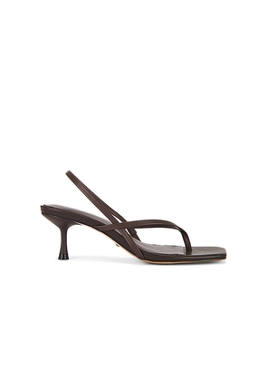 RAYE Puce Sandal in Chocolate. Size 7. Also in 10, 6, 8, 9.