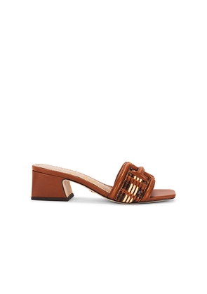 Sam Edelman Waylon Sandal in Brown. Size 7.5. Also in 6.5, 8.