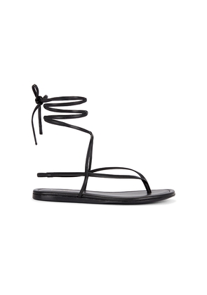RAYE Aditi Sandal in Black. Size 5.5. Also in 10, 6, 6.5, 7, 7.5, 8, 8.5, 9, 9.5.