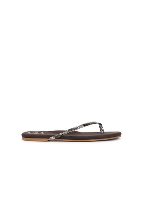 Solei Sea Indie Copa Sandal in Brown. Size 6. Also in 10, 7, 8, 9.