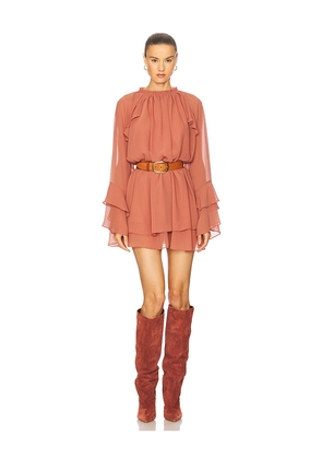 Steve Madden Sofina Dress in Brown. Size M. Also in S.