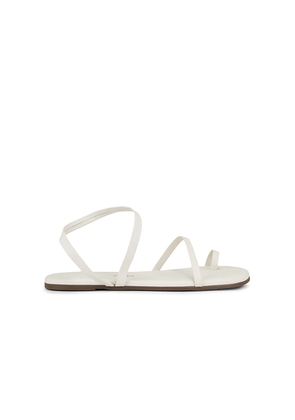 TKEES Mia Napa Sandal in White. Size 7. Also in 10, 9.