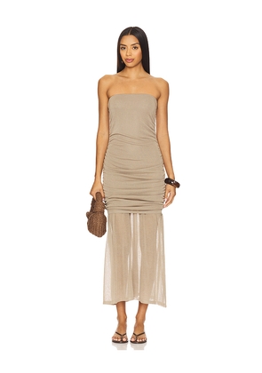 Steve Madden Lula Dress in Taupe. Size M. Also in L, XL.