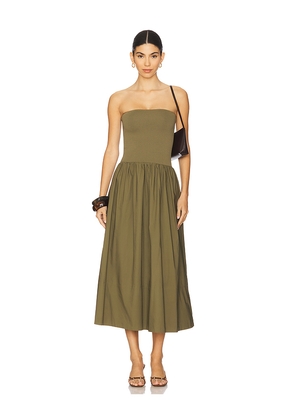 PISTOLA Mavo Tube Top Dress in Olive. Size XL. Also in L.
