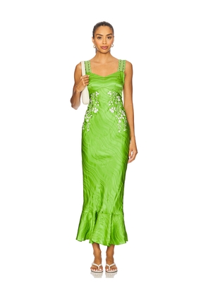 SALONI Mimi C Dress in Parakeet & Ivory in Green. Size 2. Also in 4, 8, 10.