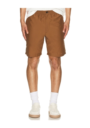 Theory Straight Cut Shorts in Brown. Size 32. Also in 30, 34, 36.