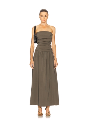 St. Agni Gathered Strapless Tie Back Dress in Brown. Size L. Also in XL.