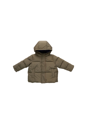 Pink Chicken Pete Puffer in Sage. Size 3. Also in 6, 2, 4, 5.