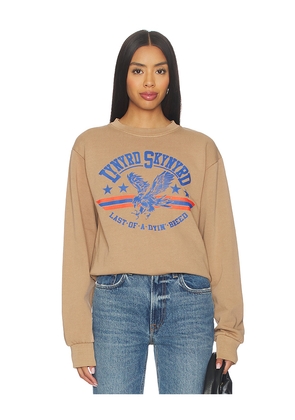 Philcos Lynyrd Skynyrd Blue Eagle Sweatshirt in Brown. Size M. Also in S, L, XL/1X.