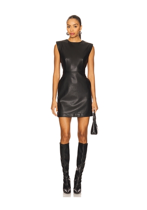 Steve Madden Belen Dress in Black. Size 2. Also in 0.