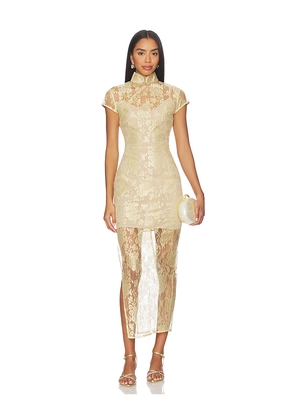 SAU LEE Malia Lace Dress in Yellow. Size 00. Also in 2, 0, 4, 6, 8, 10.