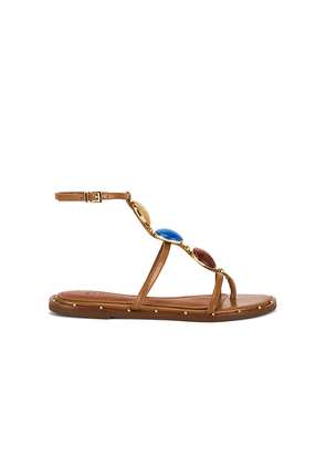 Schutz Milos Flat Sandal in Brown. Size 6. Also in 6.5, 8, 9.5.