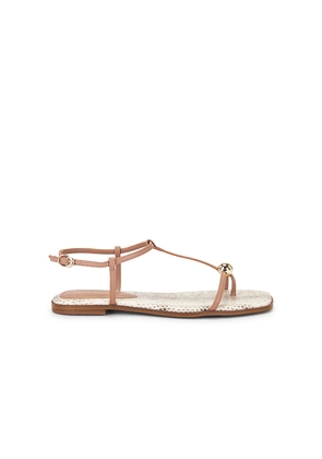 Steve Madden Ritzy Sandal in Brown. Size 6. Also in 10, 6.5, 7, 7.5, 8, 8.5, 9, 9.5.