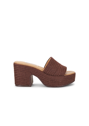 Steve Madden Trippy Sandal in Brown. Size 6. Also in 7, 7.5, 8, 8.5, 9, 9.5, 10.