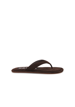 SENSO Illy Sandal in Chocolate. Size 37. Also in 36, 38, 39, 40, 41.