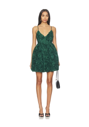 Susana Monaco Flower Texture Dress in Green. Size 2. Also in 0, 4.
