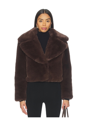 SAM. Milly Jacket in Chocolate. Size M. Also in S, L.