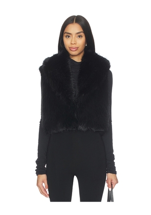 SAM. Vanessa Vest in Black. Size M. Also in XS, S, L.