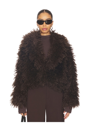 Steve Madden Inaya Coat in Brown. Size L. Also in S.