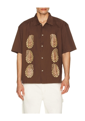 Rhythm Mirissa Relaxed Shirt in Brown. Size M. Also in S, L, XL/1X.