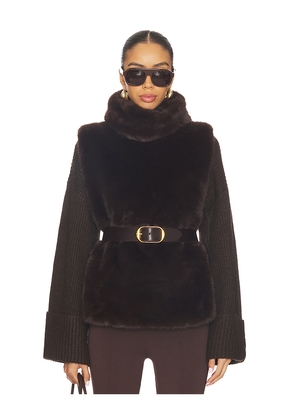 Susanna Chow Laurelle Faux Fur Vest in Brown. Size L. Also in S, M.