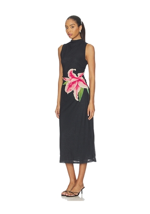 Rails Rebecca Dress in Black. Size M. Also in S, XL.