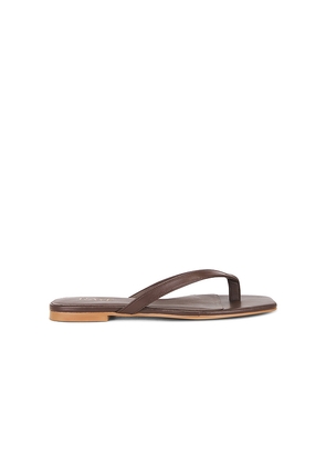 RAYE Grainger Flip Flop in Brown. Size 5.5. Also in 10, 6, 6.5, 7, 7.5, 8, 8.5, 9, 9.5.