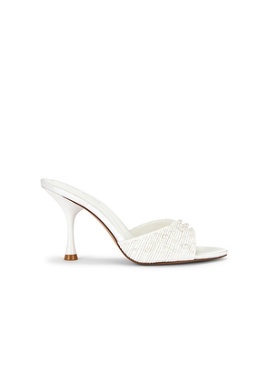 Steve Madden Santi Sandal in Ivory. Size 10. Also in 6, 6.5, 7, 7.5, 8, 8.5, 9, 9.5.